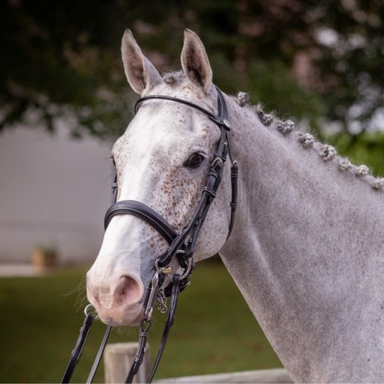 Bride Jump'In Week Vernie Noir