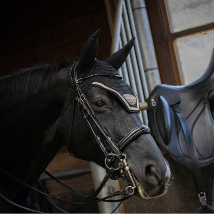 Bride Jump'In Week Vernie Noir