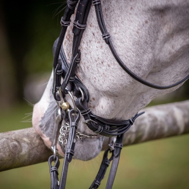 Bride Jump'In Week Vernie Noir