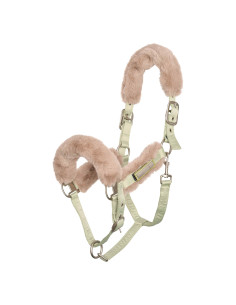 Licol HV Polo Classic espresso 2