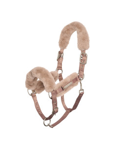 Licol HV Polo Classic espresso