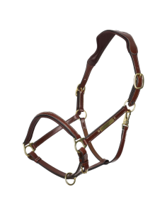 Licol HV Polo Legacy noir 2