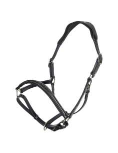 Licol HV Polo Legacy noir