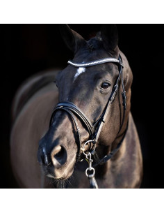 HV POLO Legacy Filet d'équitation Tailles article cheval Cheval
