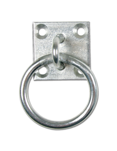 Waldhausen Attachment Ring On Plate