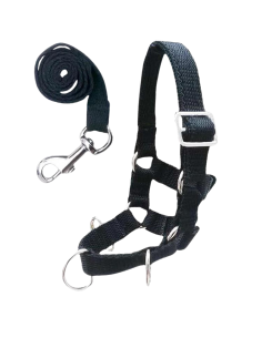 Crafty Ponies Lanyard Set