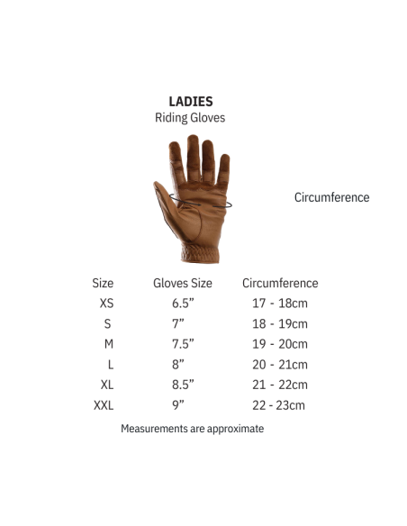 Gants D'équitation Premier Equine Dajour Waterproof