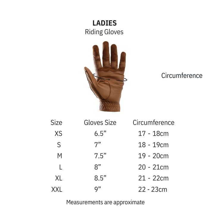 Gants D'équitation Premier Equine Dajour Waterproof