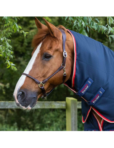 Couverture D'écurie Premier Equine Buster 100g Marine 2