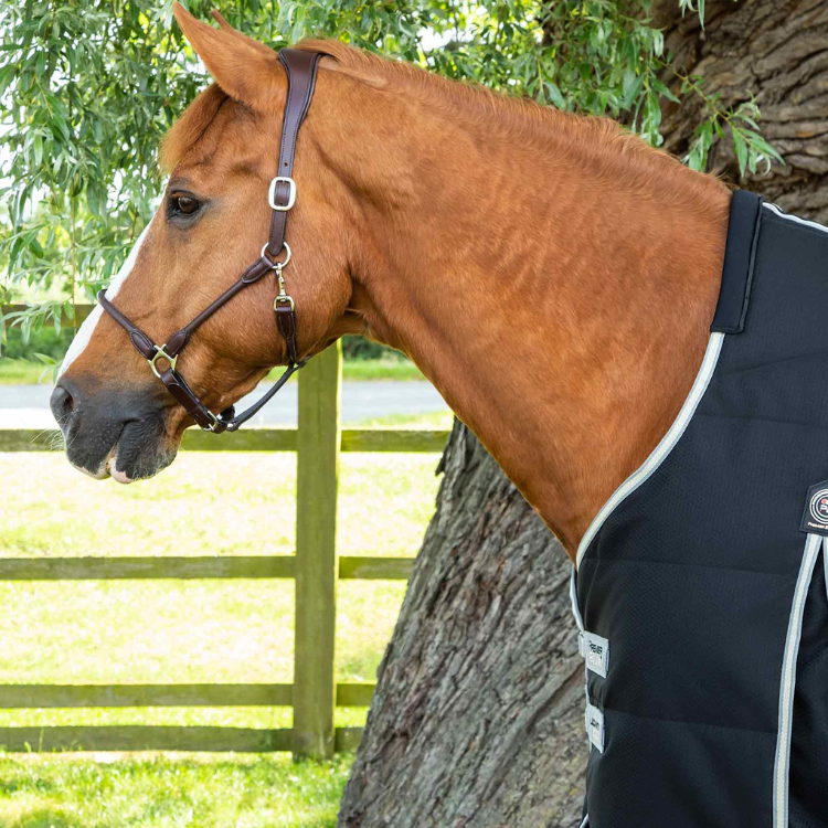 Couverture D'écurie Premier Equine Lucanta 100g Noir