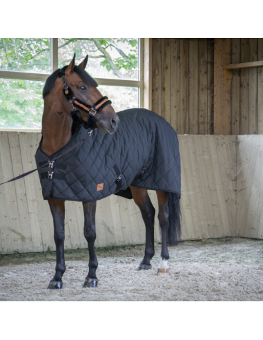 "Quilted" Paddock Rug 200grs