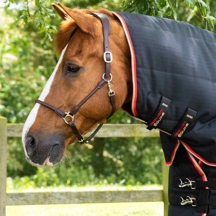 Couverture D'écurie Premier Equine Buster 200g Avec Couvre Cou Noir