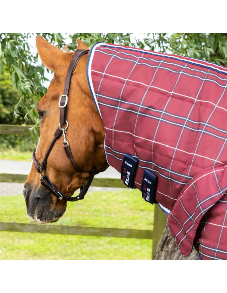 Couverture D'écurie Premier Equine Domus 200g Avec Couvre Cou