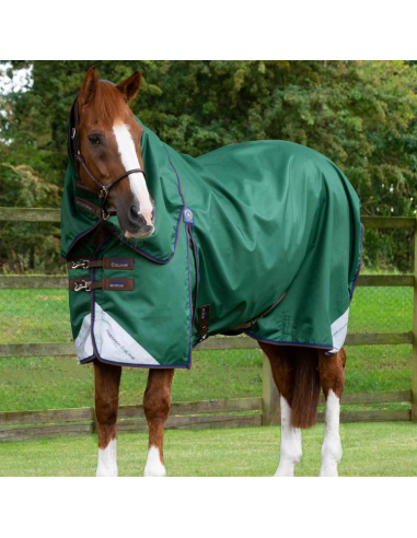 Premier Equine Akoni 0g Turnout Rug with Classic Neck Cover Green