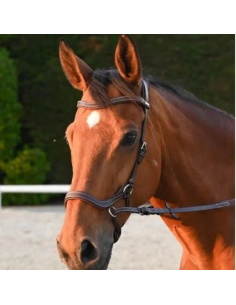 Bridon Jump'In One Bitless Noisette