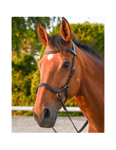 Bridon Jump'In One Bitless Noisette 2