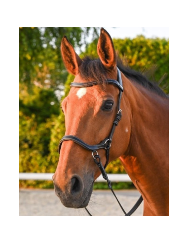 Jump'In One Bitless Bridle Black