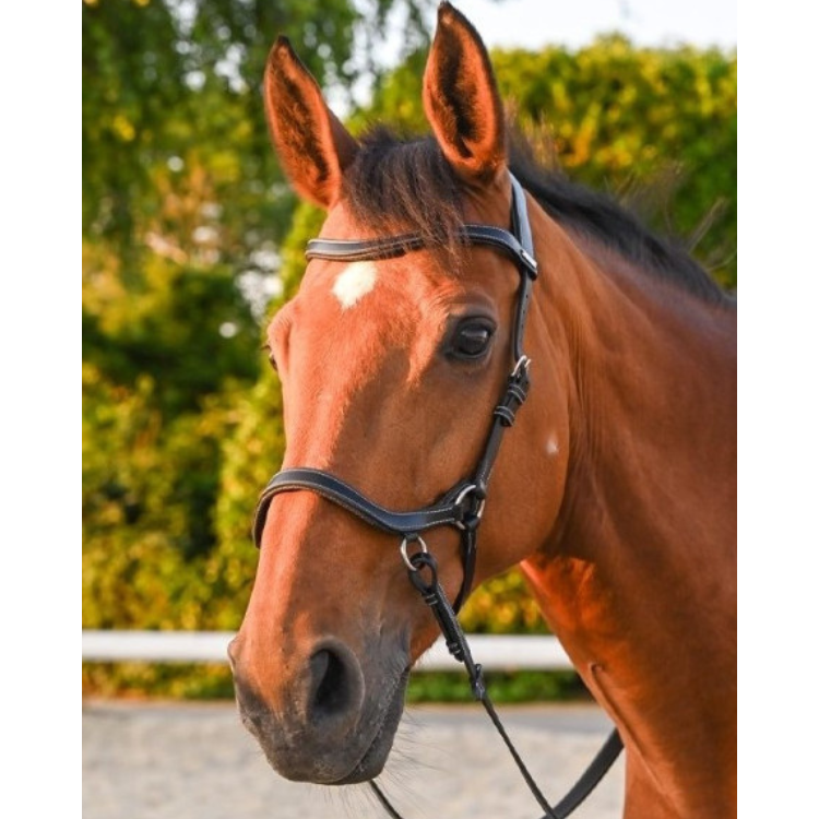 Bridon Jump'In One Bitless Noir