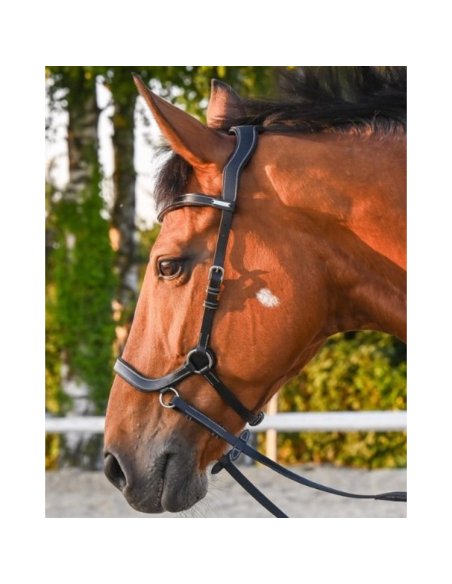 Bridon Jump'In One Bitless Noir