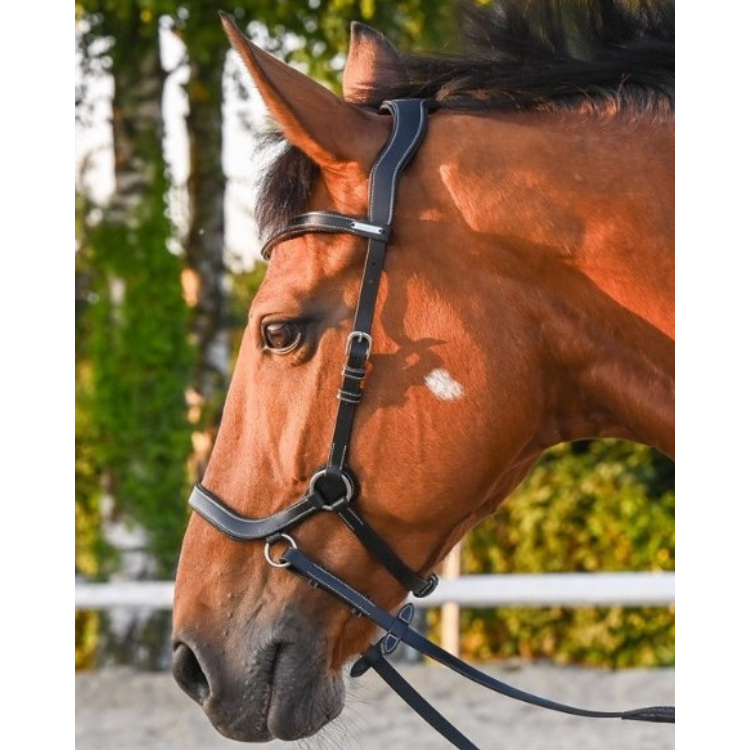 Bridon Jump'In One Bitless Noir