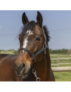Licol Norton Grooming Noir