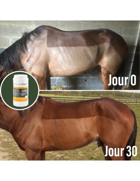 Compléments Natural'Innov Natural'Digest Avant/après