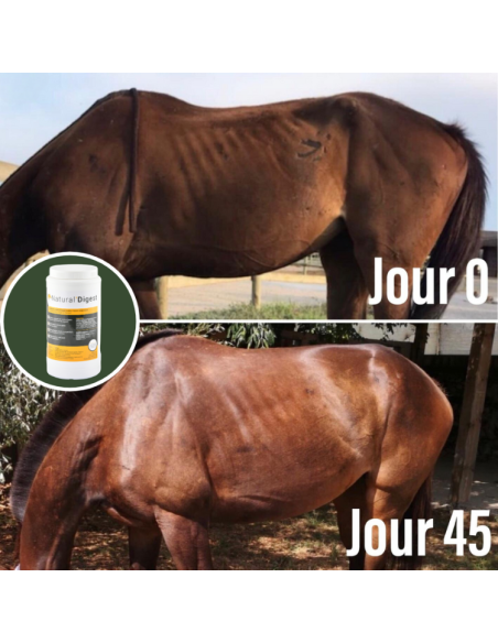 Compléments Natural'Innov Natural'Digest Avant/après