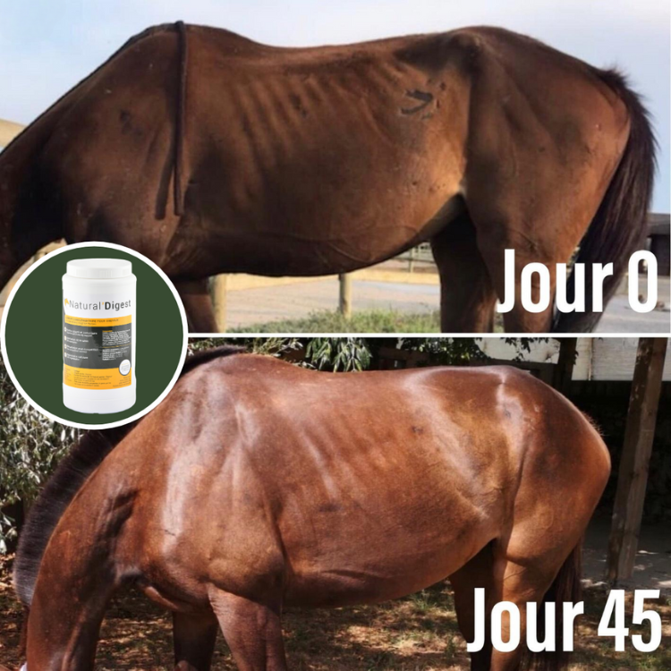 Compléments Natural'Innov Natural'Digest Avant/après
