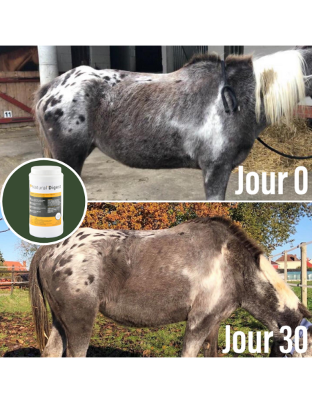 Compléments Natural'Innov Natural'Digest Avant/après