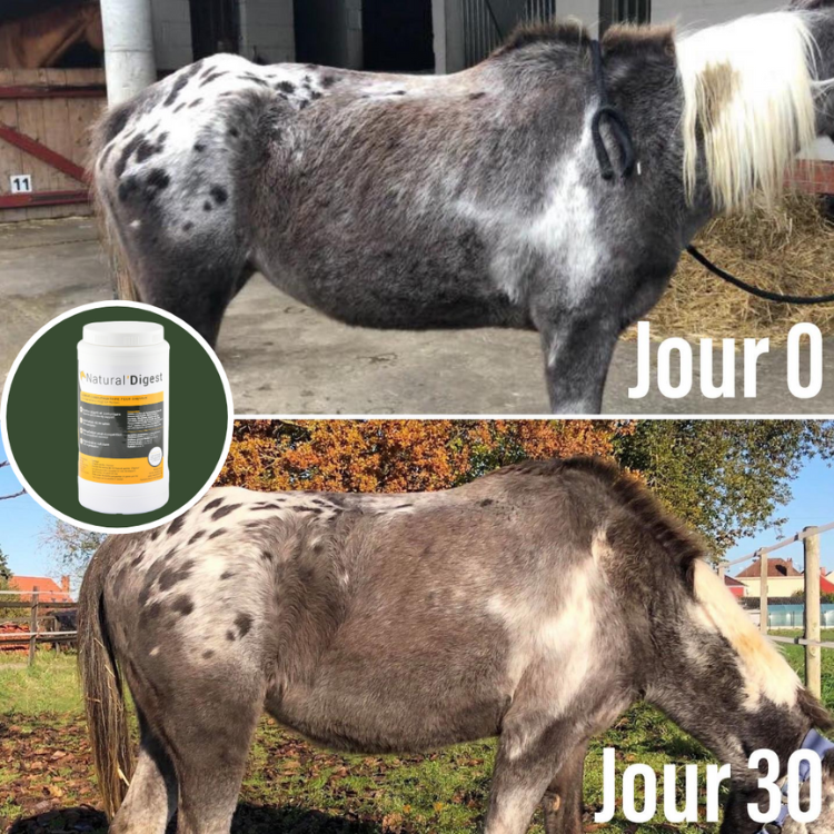 Compléments Natural'Innov Natural'Digest Avant/après