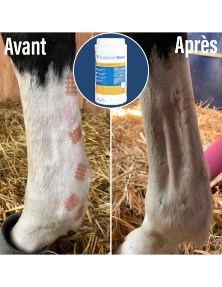 Compléments Natural'Innov Natural'Moov Avant/Après