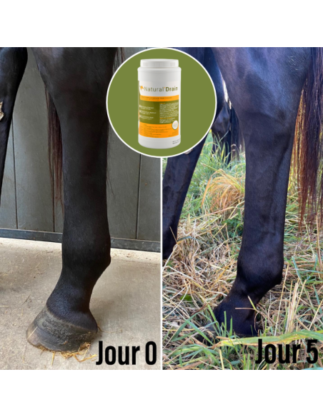 Complément Natural'Innov Natural'Drain Avant/après
