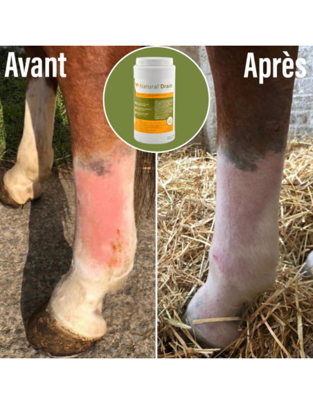 Complément Natural'Innov Natural'Drain Avant/après