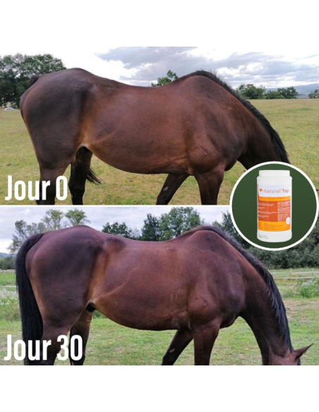 Compléments Natural'Innov Natural'Top Avant/après