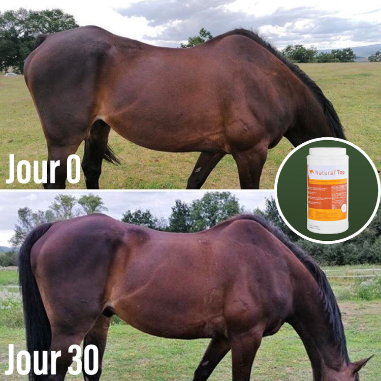 Compléments Natural'Innov Natural'Top Avant/après