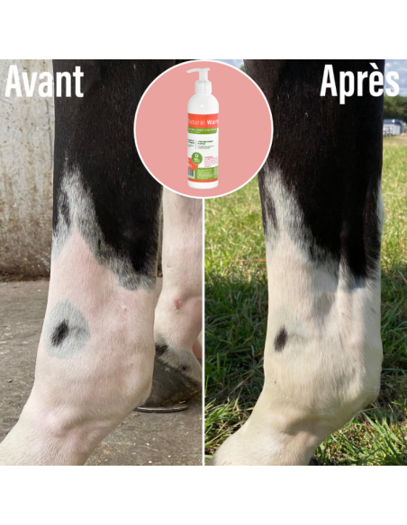 Gel Natural'Innov Natural'Warm Avant/après