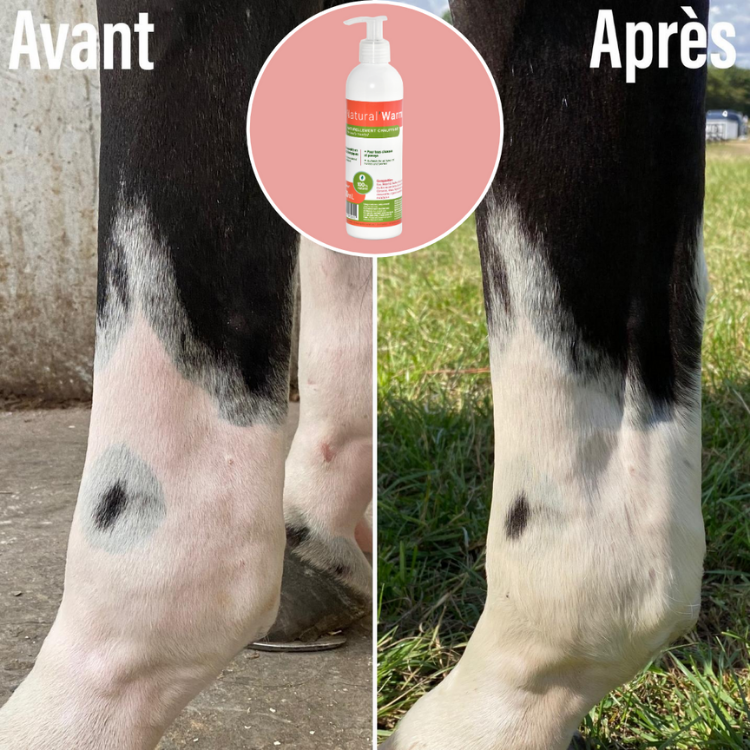 Gel Natural'Innov Natural'Warm Avant/après