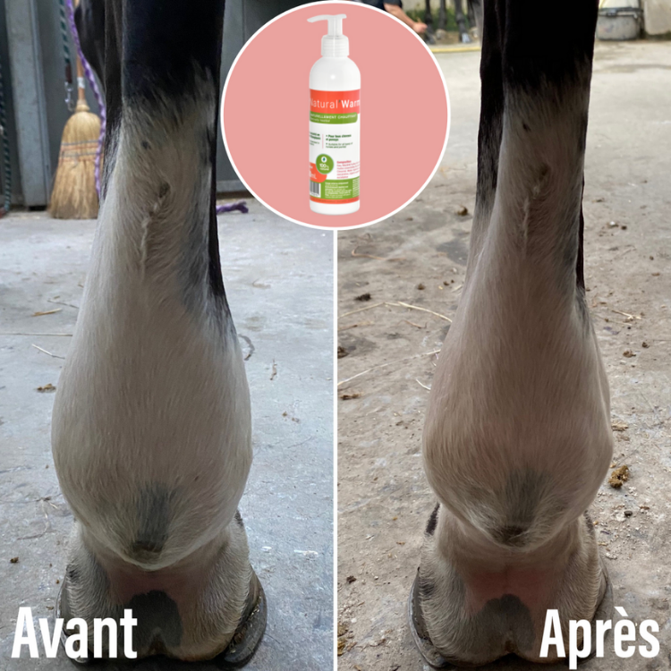 Gel Natural'Innov Natural'Warm Avant/après