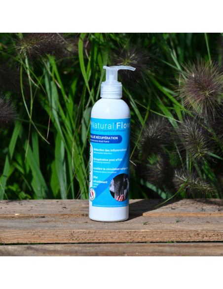 Gel Refroidissant Natural'Innov Natural'Flow 250ml