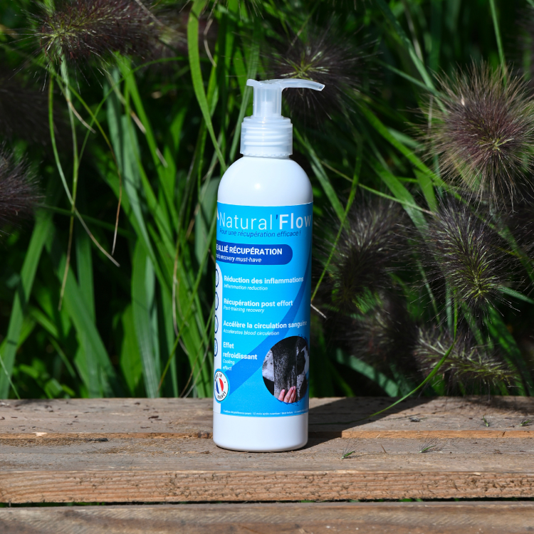 Gel Refroidissant Natural'Innov Natural'Flow 250ml