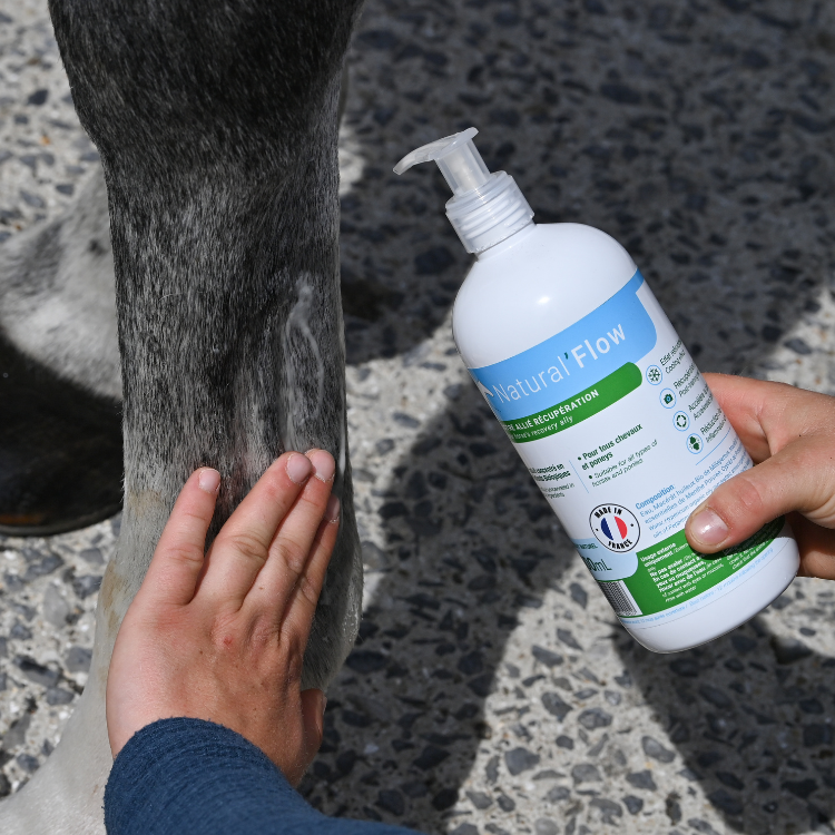 Gel Refroidissant Natural'Innov Natural'Flow 500ml