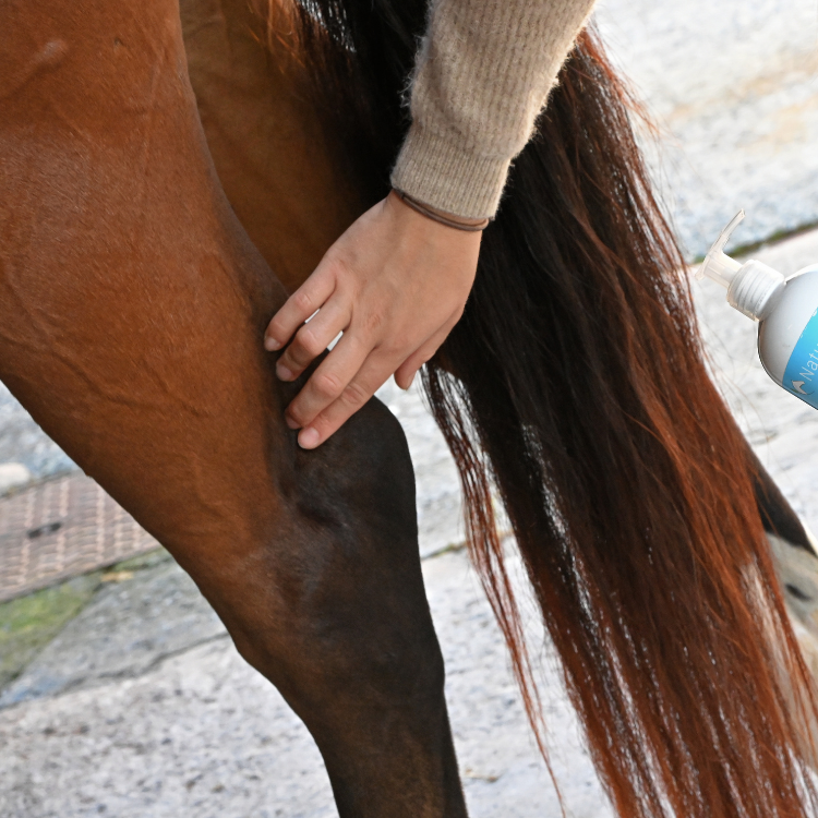 Gel Refroidissant Natural'Innov Natural'Flow 500ml