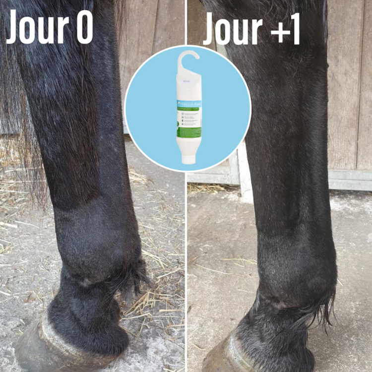 Gel Refroidissant Natural'Innov Natural'Flow Avant/après