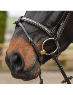 Jump'In One Premium Clincher Bridle Havana 2
