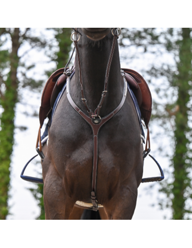 Jump'In One Premium Clincher Breast Collar And Martingale Havana