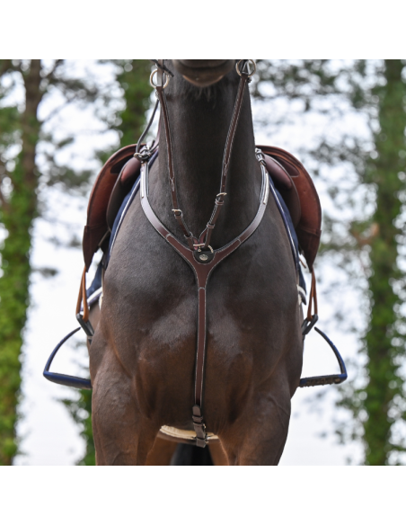 Collier De Chasse Et Martingale Jump'In One Premium Clincher Havane