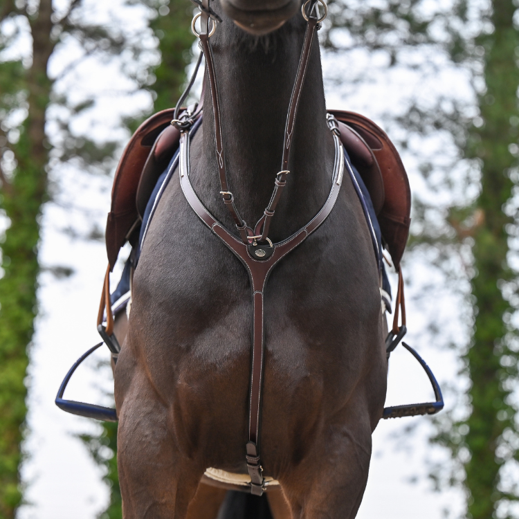 Collier De Chasse Et Martingale Jump'In One Premium Clincher Havane