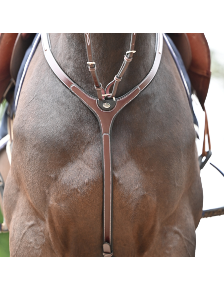Collier De Chasse Et Martingale Jump'In One Premium Clincher Havane