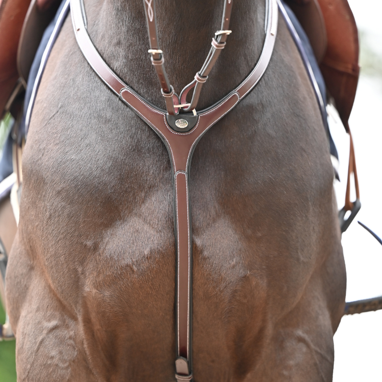Collier De Chasse Et Martingale Jump'In One Premium Clincher Havane