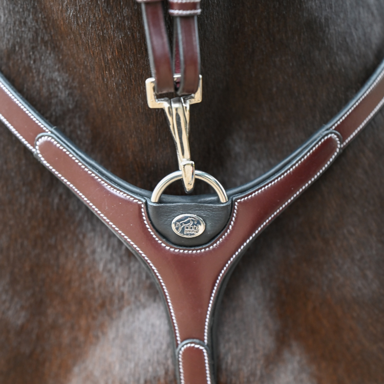 Collier De Chasse Et Martingale Jump'In One Premium Clincher Havane